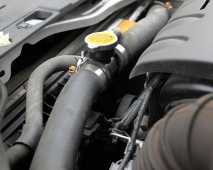 Radiator Hoses And Clamps Engine Cooling Parts