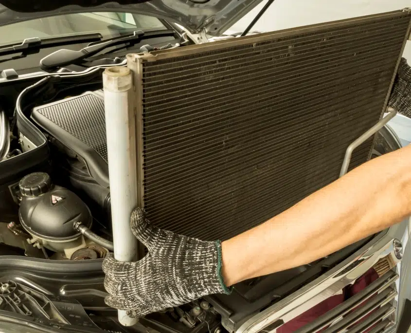 shutterstock 2186804051