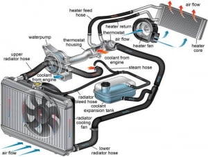 A diagram visualising how heated coolant circulates between the heater core and the radiator. Image credit to Quic Transmission & Automotive Services.