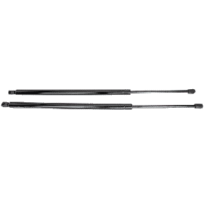 GSR014 gas struts