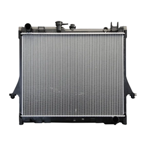HOL026PACM Radiator