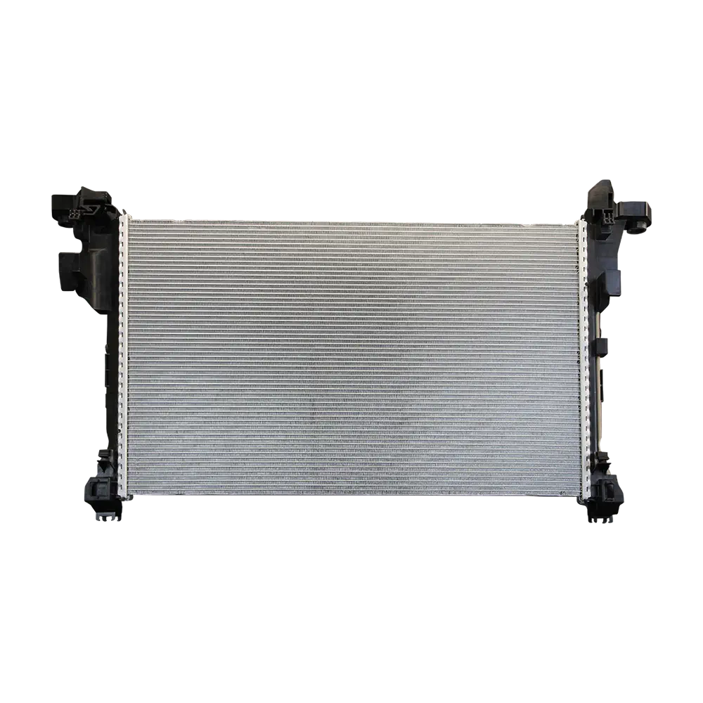 REN030PACMD2 tag r00