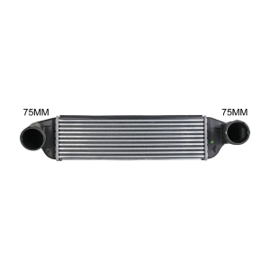 CACBMW009CM Intercooler